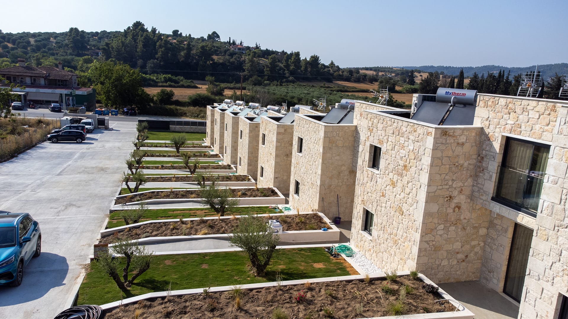 The Olive Path