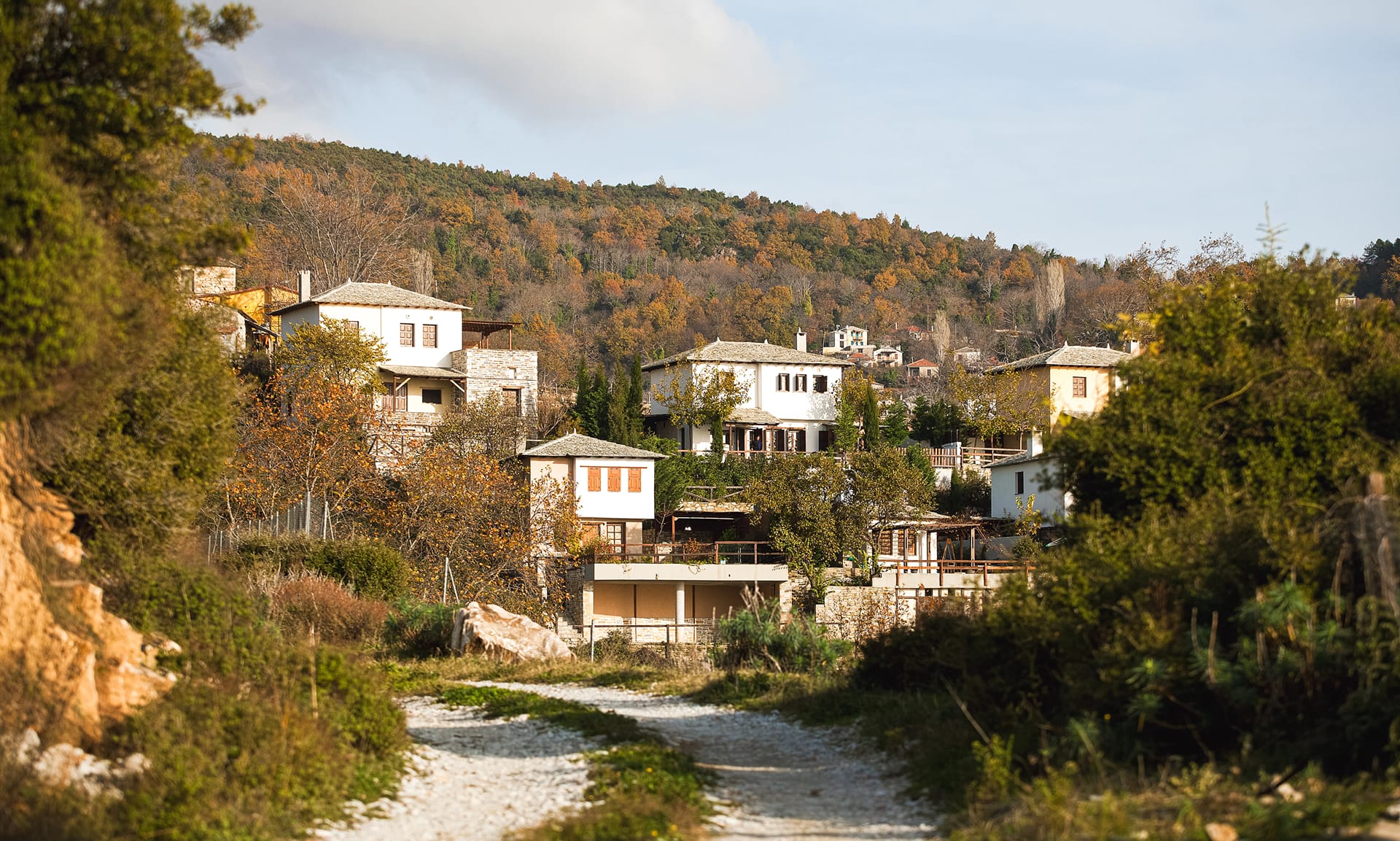 Pelion Homes, ,