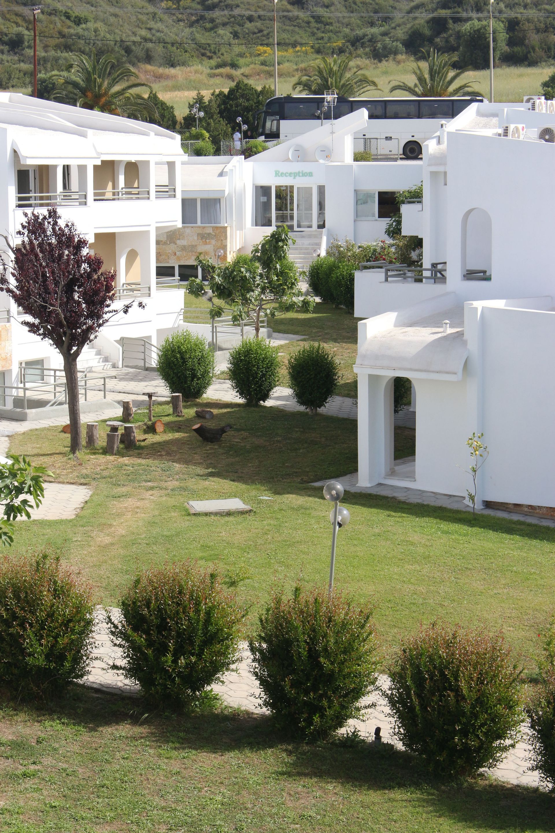 Skion Palace 4 * - pic #28