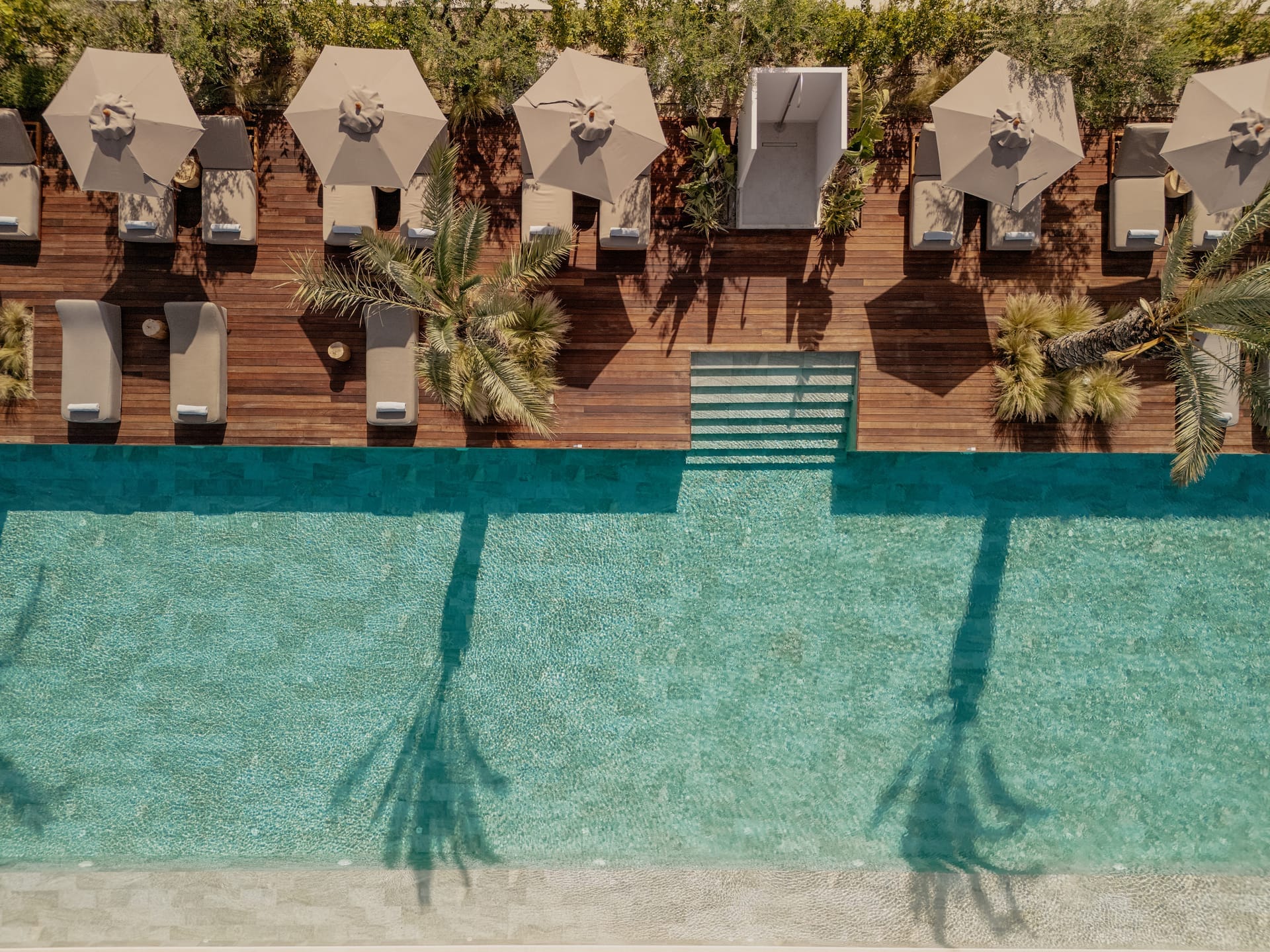 The Theros Christmas Gift