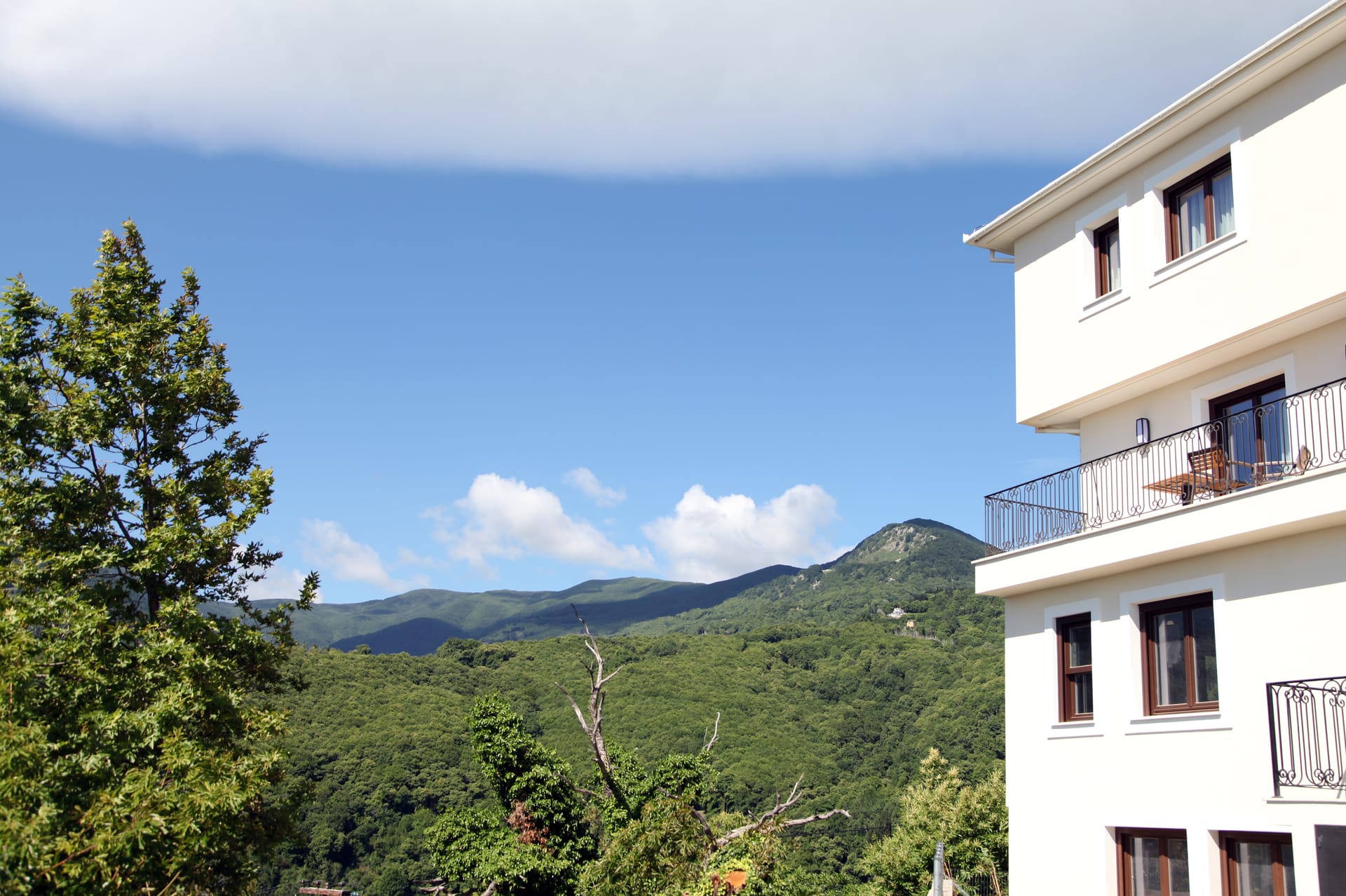 Theta Hotel