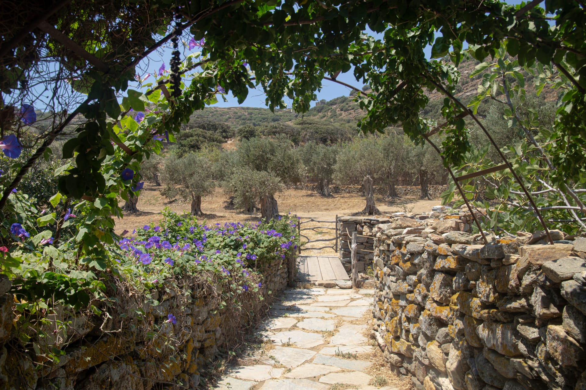 Morning Glory Cottage