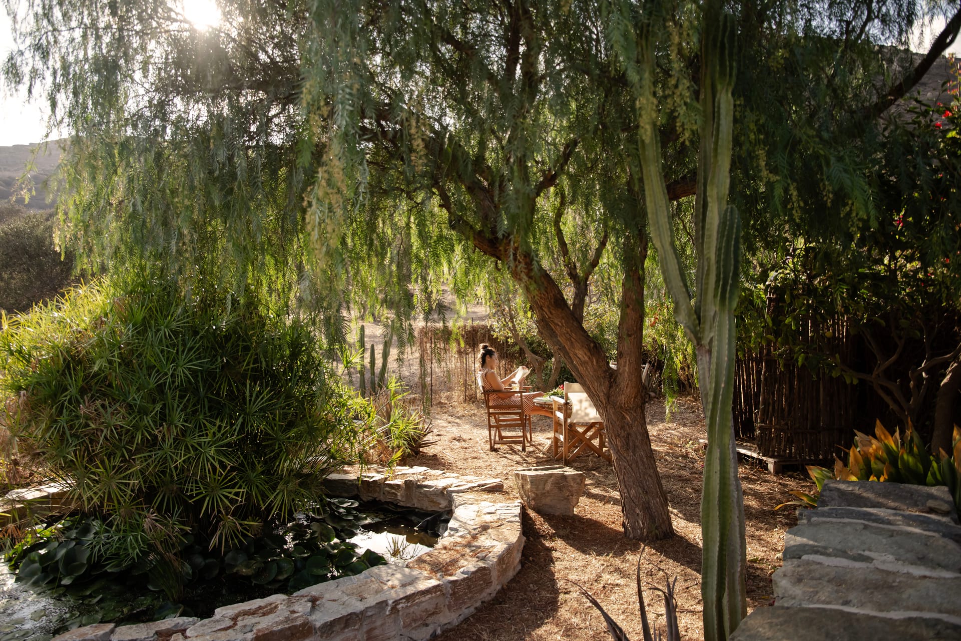 Morning Glory Cottage