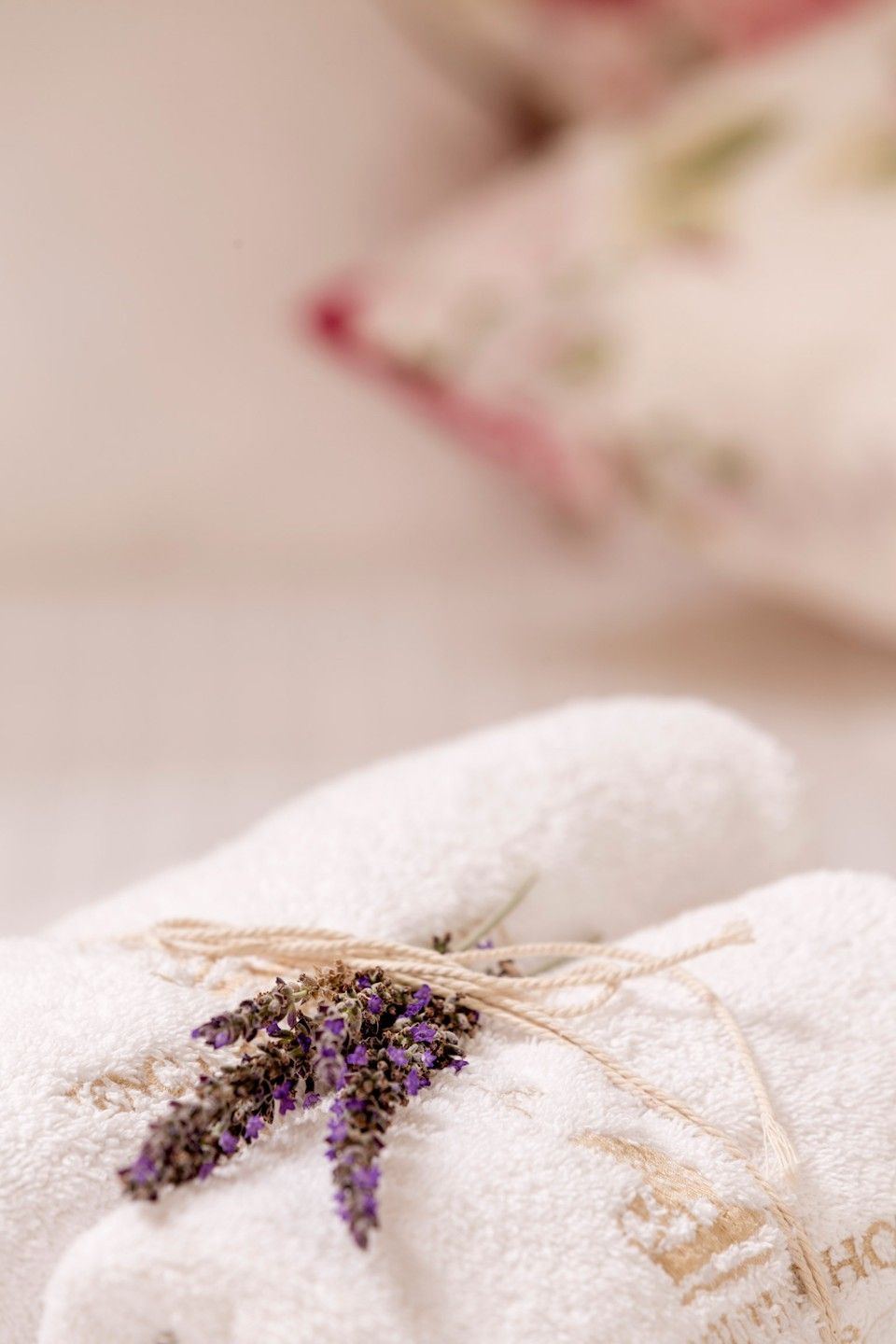 Junior Suite Hotel/Garden View | 28 sq