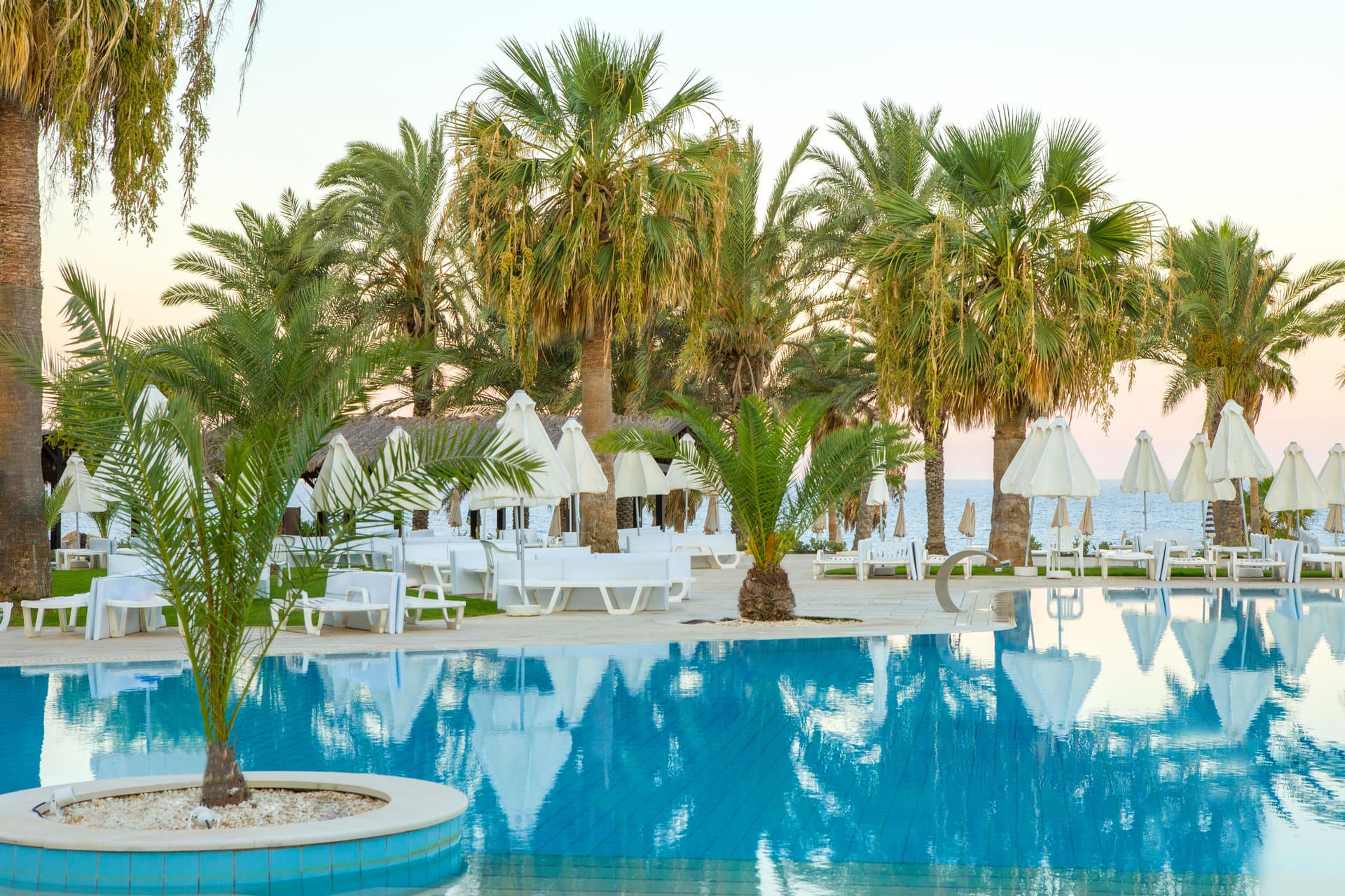 Venus Beach Hotel, Kipar — fotografija 4
