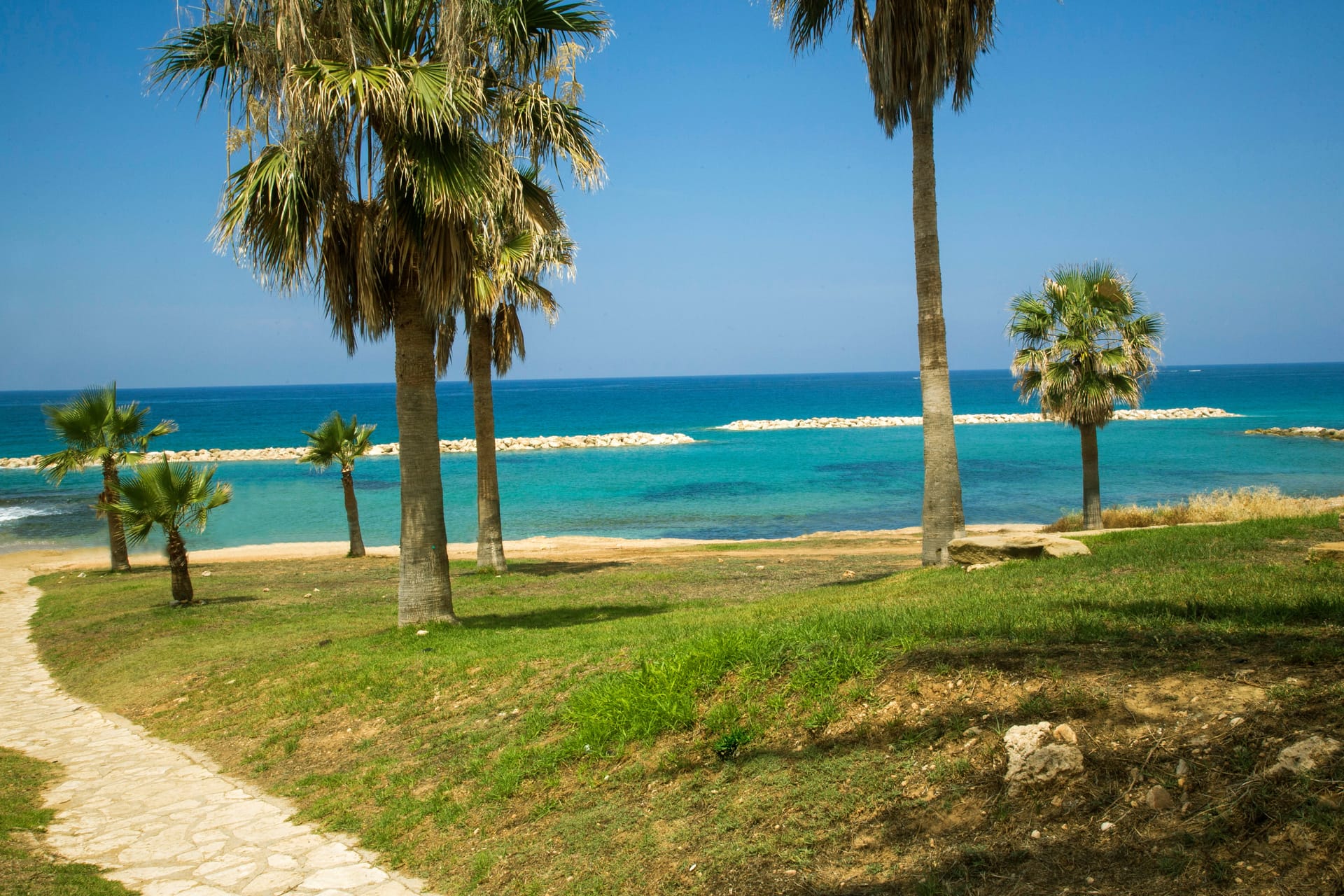 Venus Beach Hotel, Kipar — fotografija 5