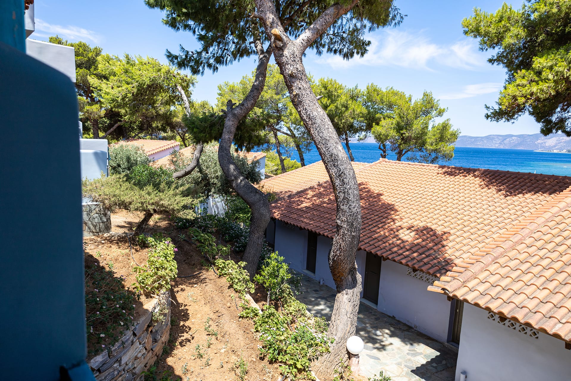 Standard triple garden / landscape view