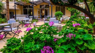 Achillion Palace Rethymno - Image 6