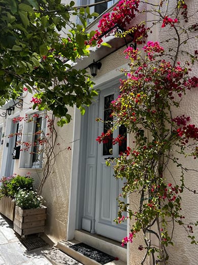 Acro & Polis - Image 4