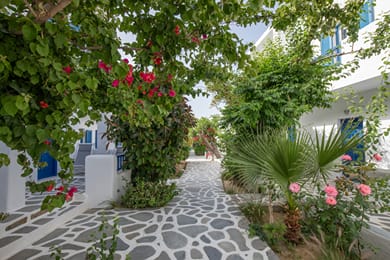 Acrogiali Beach Hotel Mykonos - Image 7