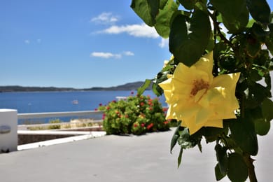 Adamas Hotel - Image 3