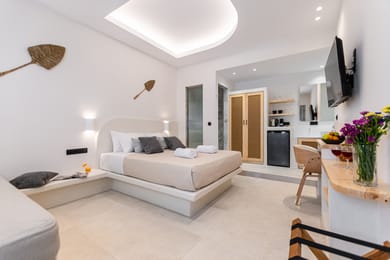 Junior Suite | 30 sqm