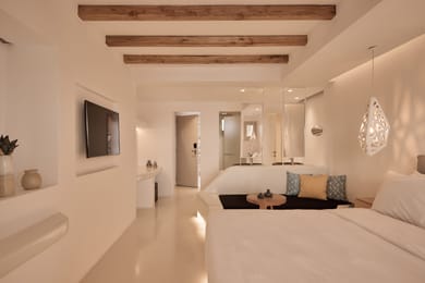 Apollo Suite with Pool and Jacuzzi