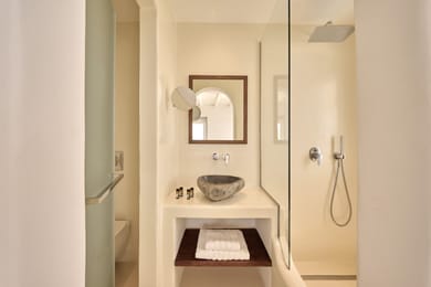 Artemis Suite with Jacuzzi