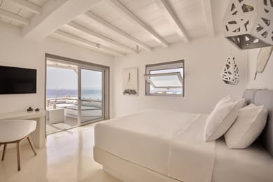 Artemis Suite with Jacuzzi