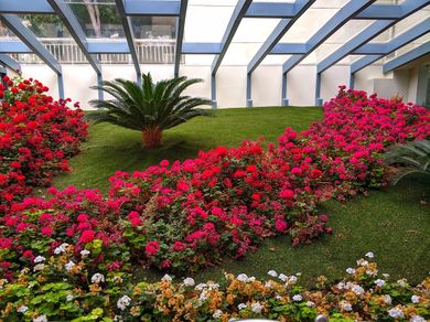 Aegean Blue Hotel - Image 4