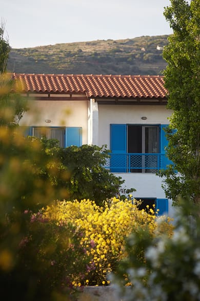 Aelia Apartments Andros - Image 5