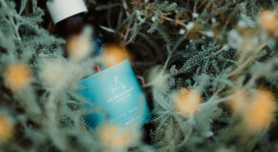 Aelia Wellness Retreat Nicosia - Image 3