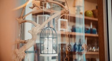 Aelia Wellness Retreat Nicosia - Image 4