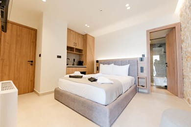 Patio Double Room