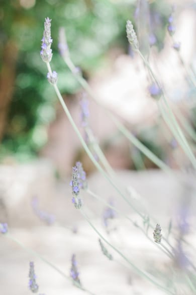 Afroditi Pansion Lefkada - Image 5