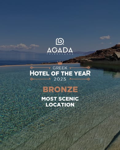 INFINITY SUITE (with Private Swimming Pool and Sea View)