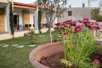 Agarathos Apartments Crete - Image 4