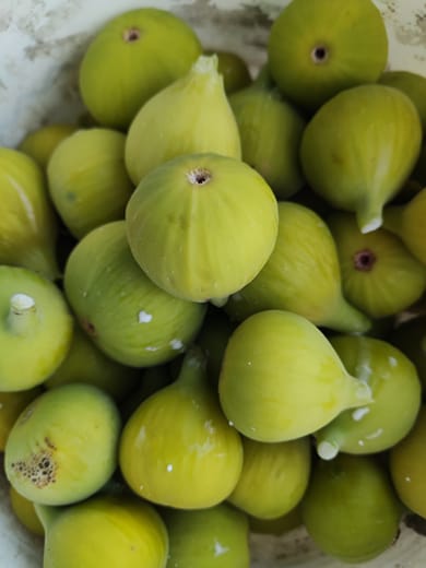 Agnanti Hotel Milos - Image 7