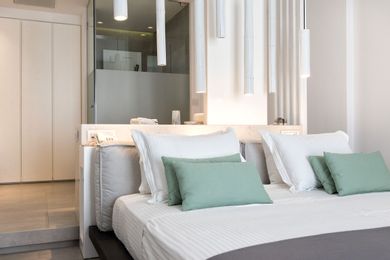 Deluxe Suite Private Pool Gym Sea View