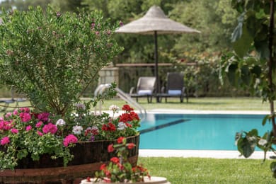 Agrikia Villa - Varvarigos Houses - Image 4