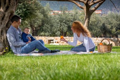 Agroktima Leonidio - Image 7