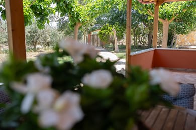 Agrotospita Country Houses Nafplio - Image 4