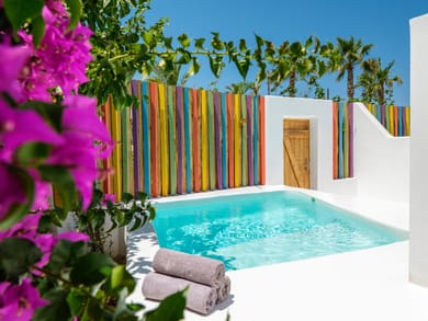 Executive Room with plunge pool