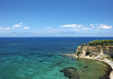 AKRIA THEA - Image 2