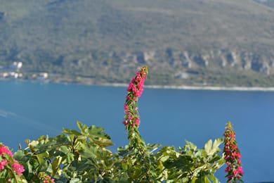 Akrolithi Boutique Hotel - Image 7