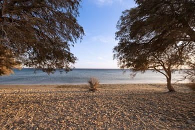 Yenesis Seaside Retreat - Image 7