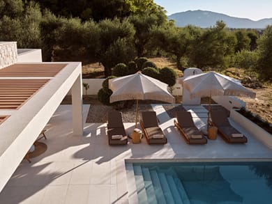 Alba d'Oro - Image 4