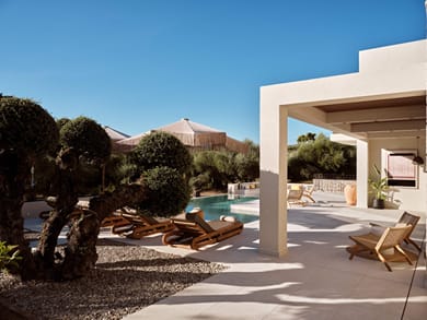 Alba d'Oro - Image 5