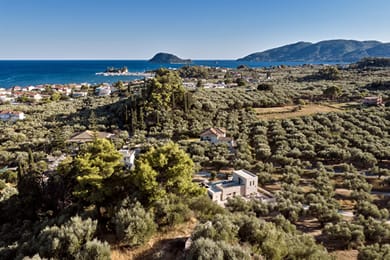 Alba d'Oro - Image 6