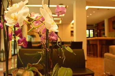 Alexakis Hotel & Spa - Image 5