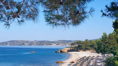 Alexandra Elegance - Image 5