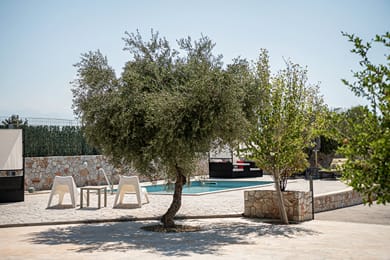 Alkistis Sweet Homes Chania - Image 7