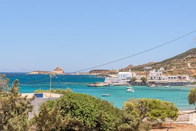 All Welcome - Image 3