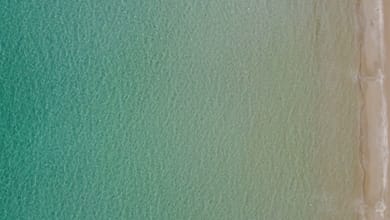 Almiriki Chios Rooms & Apartments - Image 7