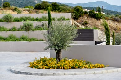 Anasa Luxury Resort - Image 3