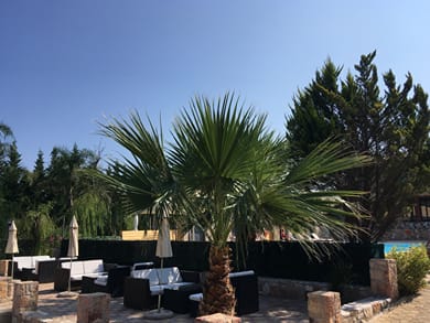 Almyra Holiday Village - Image 5