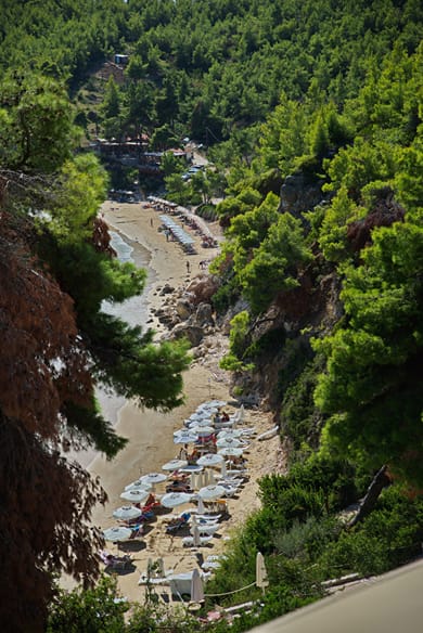Alonissos Beach Bungalows & Suites Hotel - Image 7