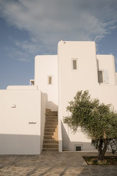 Ambelas Mare - Image 3