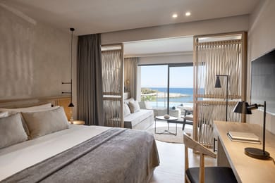 Open Plan Suite with Swim Up Pool