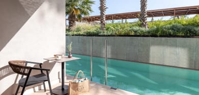 Deluxe Room with Swim Up Pool